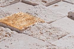 Elegant-stone